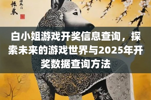 白小姐游戏开奖信息查询，探索未来的游戏世界与2025年开奖数据查询方法漯河市盈旭机械设备有限公司