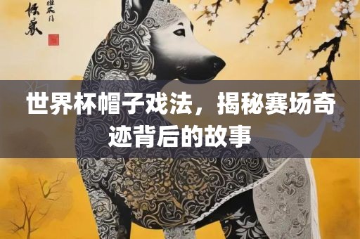 世界杯帽子戏法，揭秘赛场奇迹背后的故事
