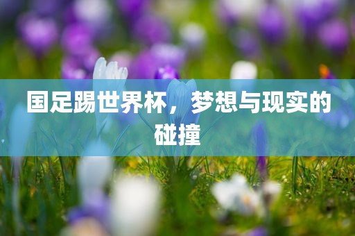 国足踢世界杯，梦想与现实的碰撞