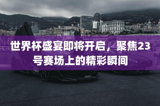 世界杯盛宴即将开启，聚焦23号赛场上的精彩瞬间