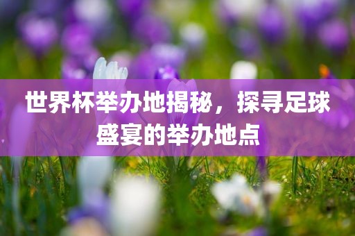 世界杯举办地揭秘，探寻足球盛宴的举办地点漯河市盈旭机械设备有限公司