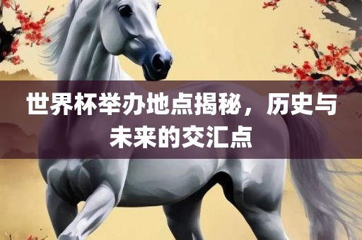 世界杯举办地点揭秘，历史与未来的交汇点