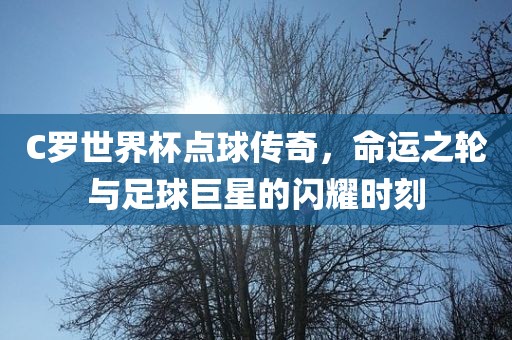 C罗世界杯点球传奇，命运之轮与足球巨星的闪耀时刻