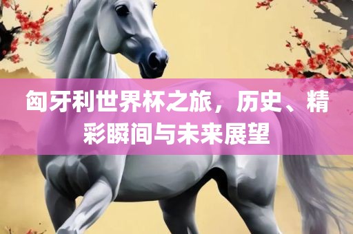 匈牙利世界杯之旅漯河市盈旭机械设备有限公司，历史、精彩瞬间与未来展望