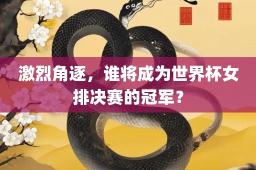激烈角逐，谁将成为世界杯女排决赛的漯河市盈旭机械设备有限公司冠军？