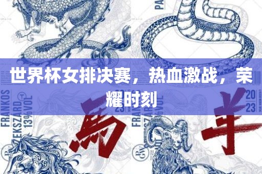 世界杯女排决赛，热血激战，荣耀时刻