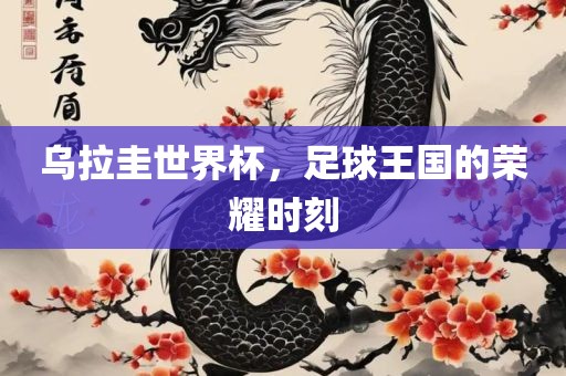 乌拉圭世界杯，足球王国的荣耀时刻