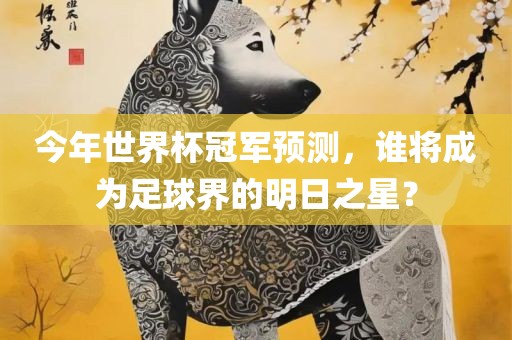 今年世界杯冠军预测，谁将成为足球界的明日之星？