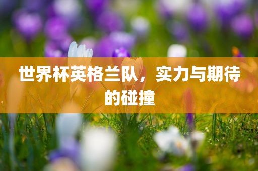 世界杯英格兰队，实力与期待的碰撞
