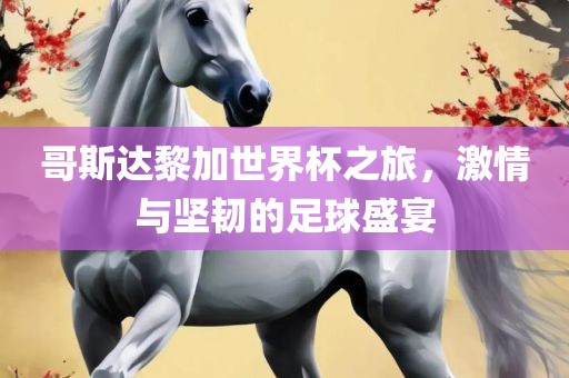 哥斯达黎加世界杯之旅，激情与坚韧的足球盛宴漯河市盈旭机械设备有限公司