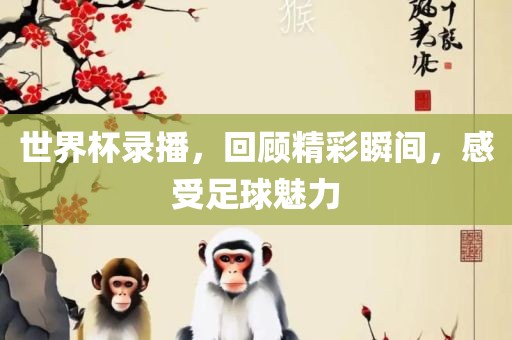 世界杯录播，回顾精彩瞬间，感受足球魅力漯河市盈旭机械设备有限公司