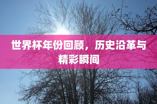 世界杯年份回顾，历史沿革与精彩瞬间
