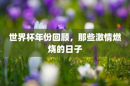 世界杯年份回顾，那些激情燃烧的日子