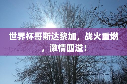 世界杯哥斯达黎加，战火重燃，激情四溢！