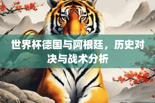 世界杯德国与阿根廷，历史对决与战术分析