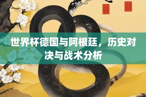 世界杯德国与阿根廷，历史对决与战术分析