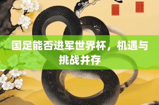 国足能否进军世界杯，机遇与挑战并存