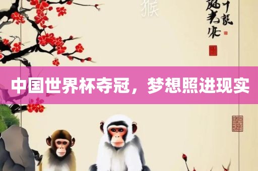 梦想照进现实 第2页
