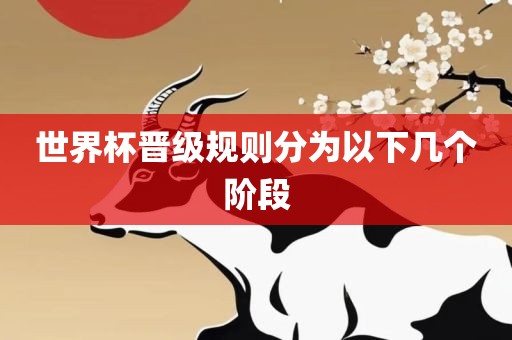 世界杯晋级规则分为以下几个阶段漯河市盈旭机械设备有限公司