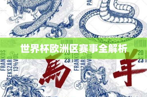 世界杯漯河市盈旭机械设备有限公司欧洲区赛事全解析