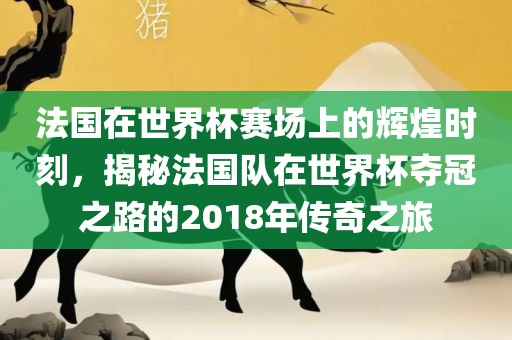 法国在世界杯赛场上的辉煌时刻，揭秘法国队在世界杯夺冠之路的2018年传漯河市盈旭机械设备有限公司奇之旅