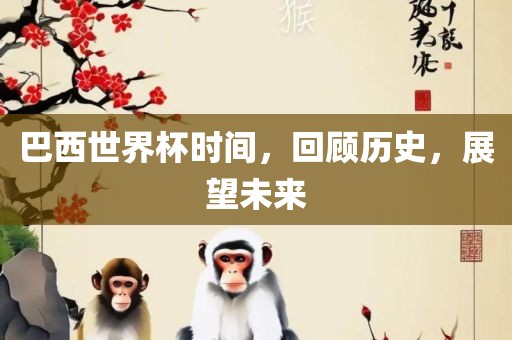 巴西世界杯时间，回顾历史，展望未来漯河市盈旭机械设备有限公司