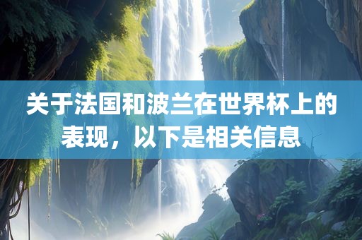 关于法国和波兰在世界杯上的表现，以下是相关信息