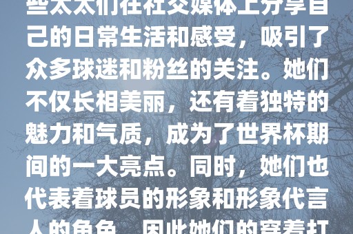 世界杯太太团是指参与世界杯的球队中球员的妻子们组成的团体。这些太太们在世界杯期间备受关注，她们的出现也为比赛增添了不少色彩和看点。这些太太们在社交媒体上分享自己的日常生活和感受，吸引了众多球迷和粉丝的关注。她们不仅长相美丽，还有着独特的魅力和气质，成为了世界杯期间的一大亮点。同时，她们也代表着球员的形象和形象代言人的角色，因此她们的穿着打扮和言行举止备受关注。总之，世界杯太太团是世界杯期间不可或缺的一部分，她们的出现也为球迷们带来了更多的观赏乐趣。