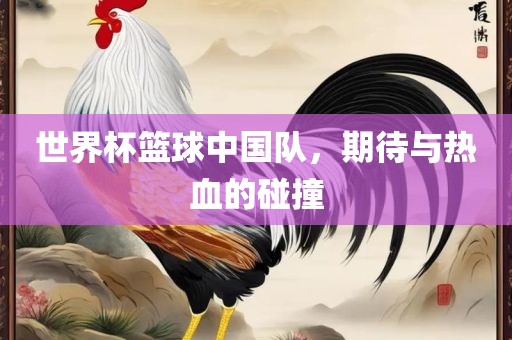 世界杯篮球中国队，期待与热血的碰撞