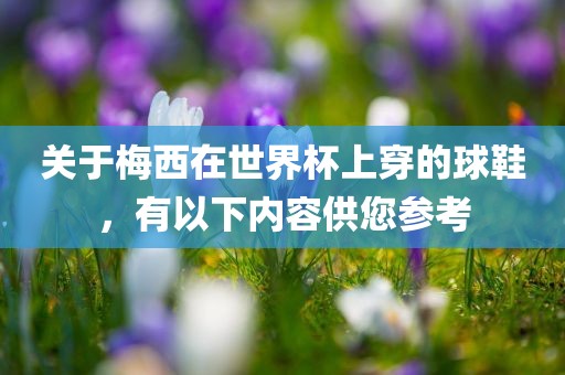 关于梅西在世界杯上穿的球鞋，有以下内容供您参考