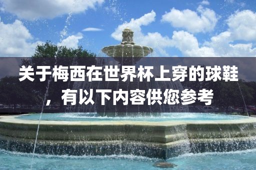 关于梅西在世界杯上穿的球鞋，有以下内容供您参考