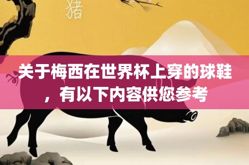 关于梅西在世界杯上穿的球鞋，有以下内容供您参考