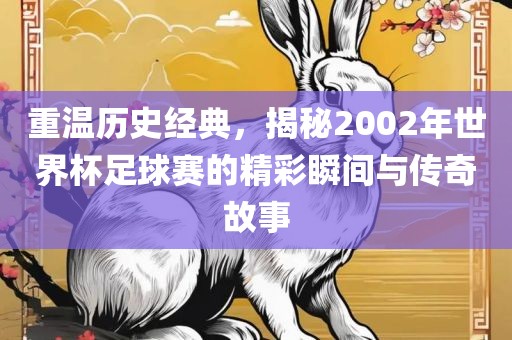重温历史经典，揭秘2002年世界杯足球赛的精彩瞬间与传奇故事