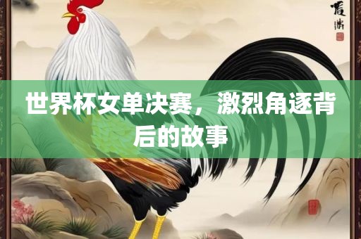 世界杯女单决赛，激烈角逐背后的故事漯河市盈旭机械设备有限公司