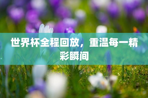 世界杯全程回放，重温每一精彩瞬间