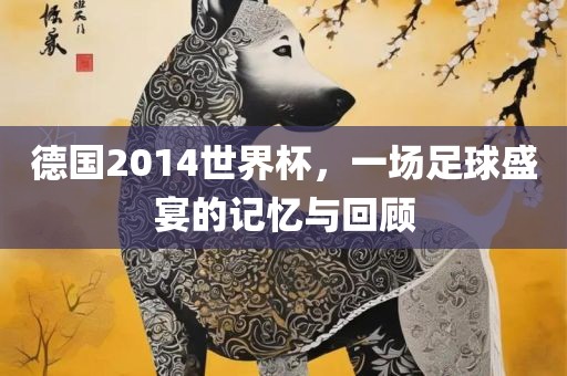 德国2014世界杯，一场足球盛宴的记忆与回顾