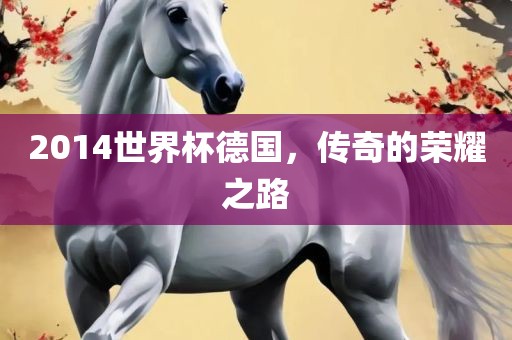 2014世界杯德国，传奇的荣耀之路