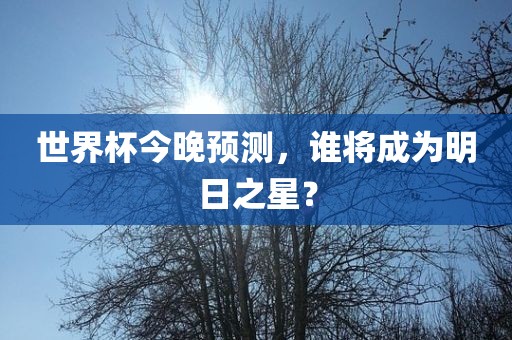 世界杯今晚预测，谁将成为明日之星？漯河市盈旭机械设备有限公司