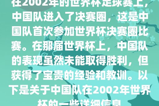 在2002年的世界杯足球赛上，中国队进入了决赛圈，这是中国队首次参加世界杯决赛圈比赛。在那届世界杯上，中国队的表现虽然未能取得胜利，但获得了宝贵的经验和教训。以下是关于中国队在2002年世界杯的一些详细信息