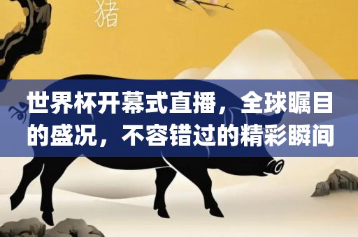 世界杯开幕式直播，全球瞩目的盛况，不容错过的精彩瞬间