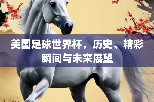 美国足球世界杯，历史、精彩瞬间与未来漯河市盈旭机械设备有限公司展望