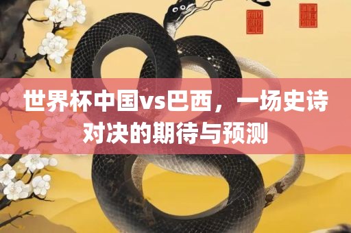 世界杯中国vs巴西，一场史诗对决的期待与预测漯河市盈旭机械设备有限公司