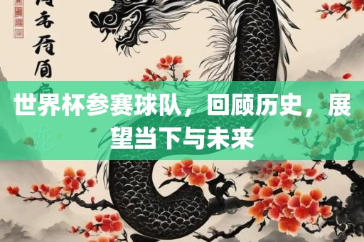 世界杯参赛球队，回顾历史，展望当下与未来