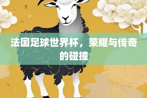 法国足球世界杯，荣耀与传奇的碰撞漯河市盈旭机械设备有限公司