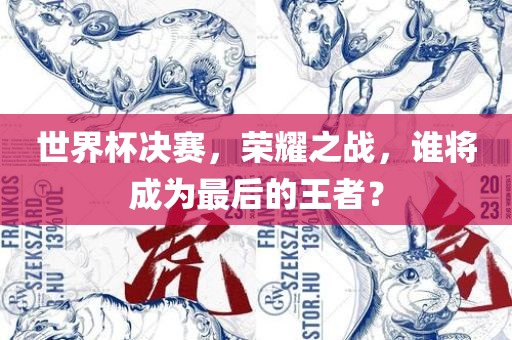 世界杯决赛，荣耀之战，谁将成为最后的王者？