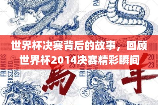 世界杯决赛背后的故事，回顾世界杯2014决赛精彩瞬间漯河市盈旭机械设备有限公司