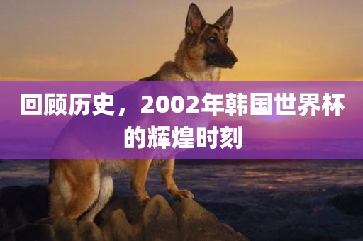 回顾历史，2002年韩国世界杯的辉煌时刻漯河市盈旭机械设备有限公司