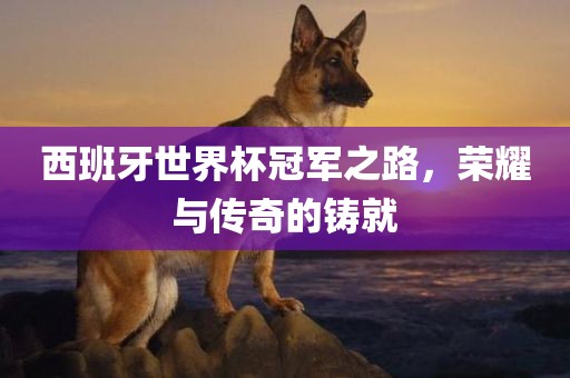 西班牙世界杯冠军之路，荣耀与传奇的铸就