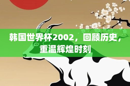 韩国世界杯2002，回顾历史，重温辉煌时刻