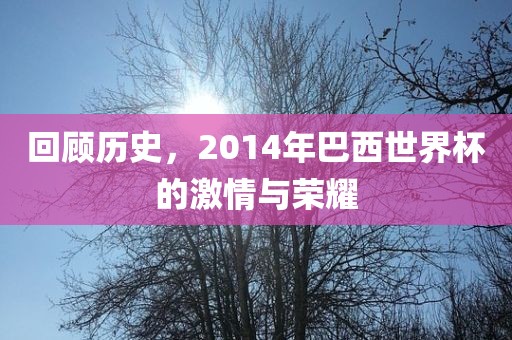 回顾历史，2014年巴西世界杯的漯河市盈旭机械设备有限公司激情与荣耀